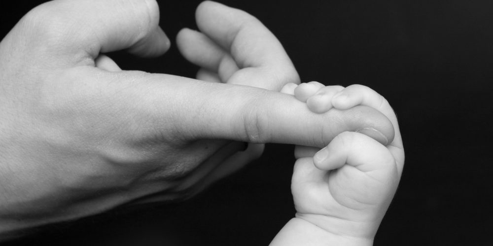 Family Law: The General Topics of Family Law