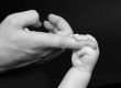 Family Law: The General Topics of Family Law