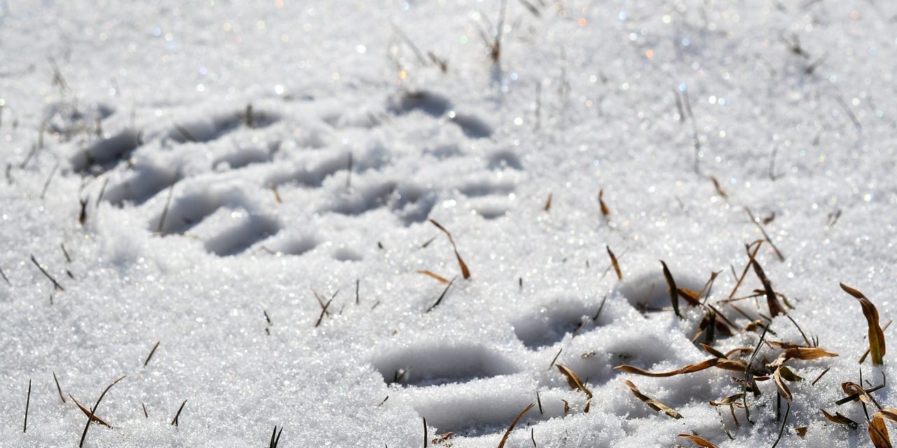 Know Your Rights if You’re Stopped by Police on the Street in Wisconsin Know Your Rights if You're Stopped by Police on the Street in Wisconsin