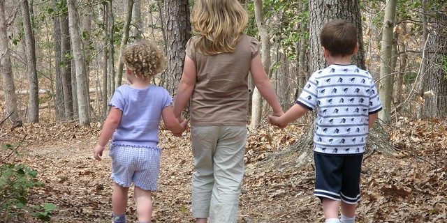 Family Law: Wisconsin Child Support – Beyond Guideline Support